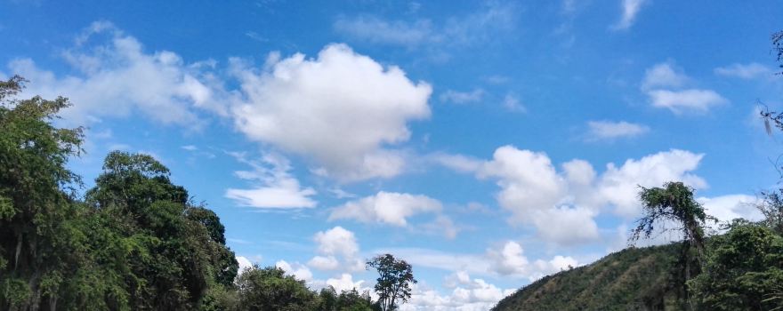 Tulua