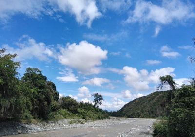 Tulua