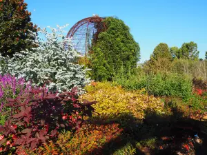 Botanical Garden of the Ozarks