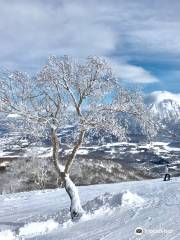 Niseko Winterlab Ski and Snowboard School