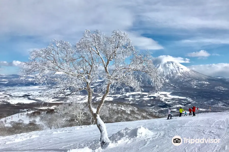 Niseko Winterlab Ski and Snowboard School