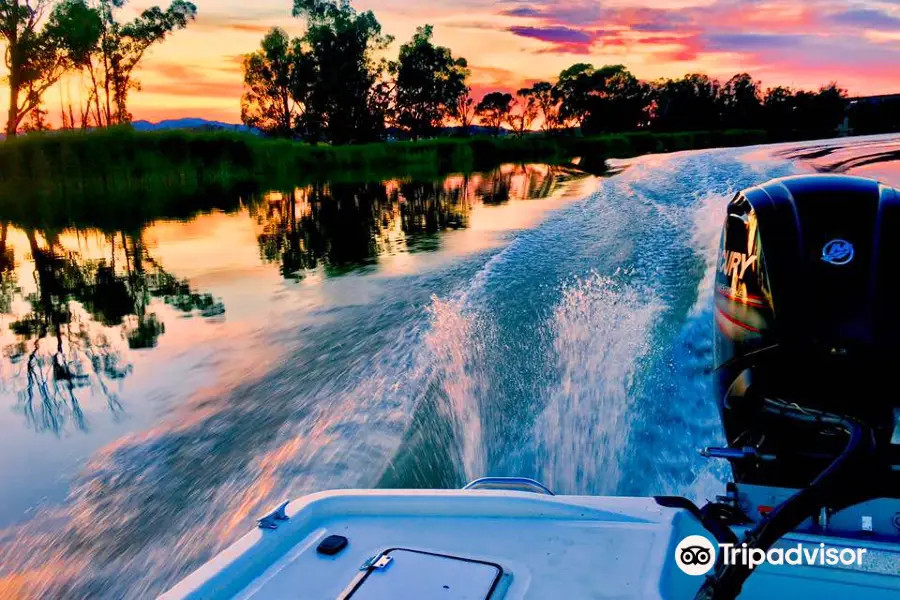 Wombat Charters