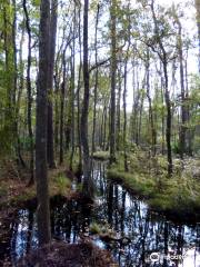 Big Shoals Trail