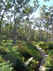 Tilligerry National Park