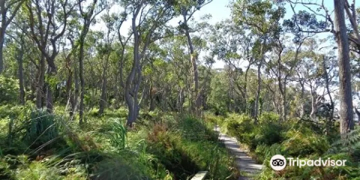 Tilligerry National Park