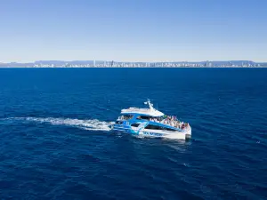 Sea World Cruises