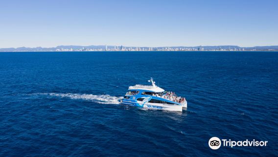 Sea World Cruises