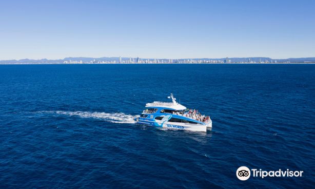Sea World Cruises