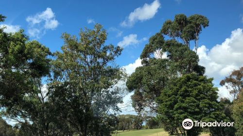 Mount Martha Public Golf Course