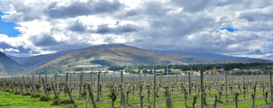 Mt Difficulty Wines