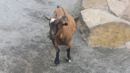 ルターシュタット・ヴィッテンベルク動物園