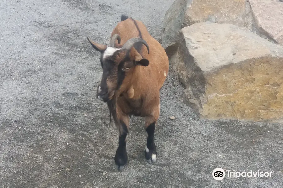 ルターシュタット・ヴィッテンベルク動物園