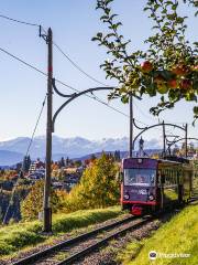 Treno storico del Renon