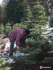 Snowy Peaks Tree Farm