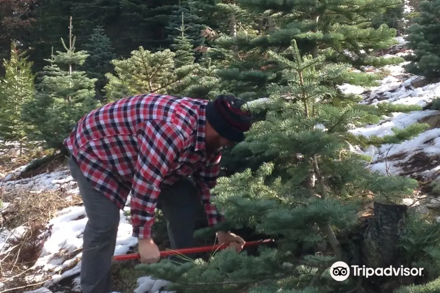 Snowy Peaks Tree Farm