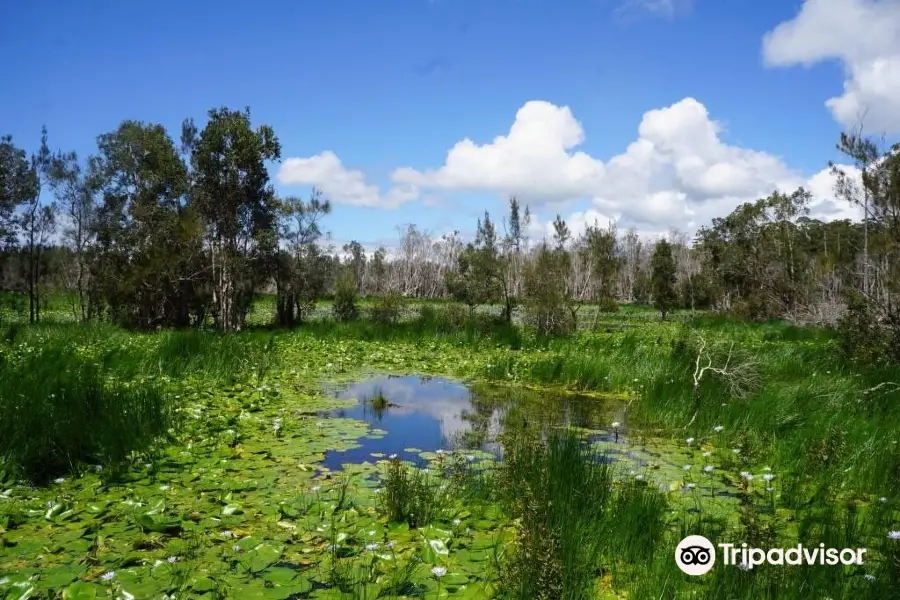 Cattai Wetlands