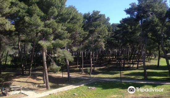Parco di Badimanna