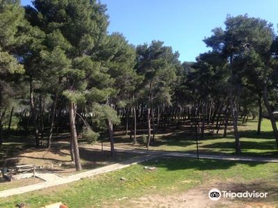 Parco di Badimanna