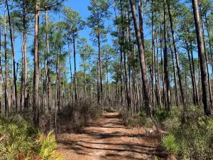 Tuxachanie Hiking Trail (West End Trailhead)