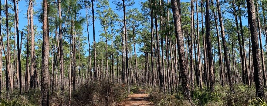 Tuxachanie Hiking Trail (West End Trailhead)