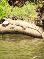 Kuranda Riverboat