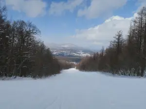 八幡平リゾート パノラマスキー場