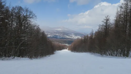 Hachimantai Resort Panorama Ski Area