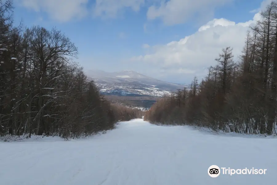 Hachimantai Resort Panorama Ski Area