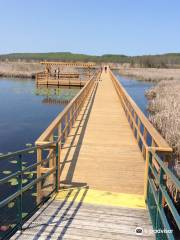 Wye Marsh Wildlife Centre