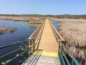 Wye Marsh Wildlife Centre