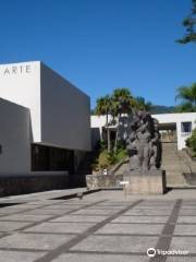 Museo de Arte de El Salvador