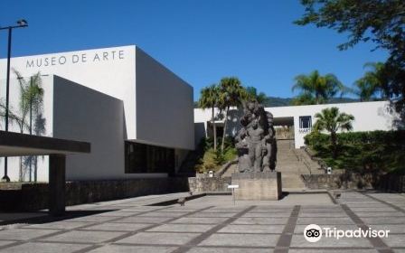 Museum of Art of El Salvador