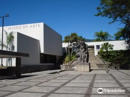 Museum of Art of El Salvador