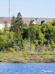 Belchers Marsh Park