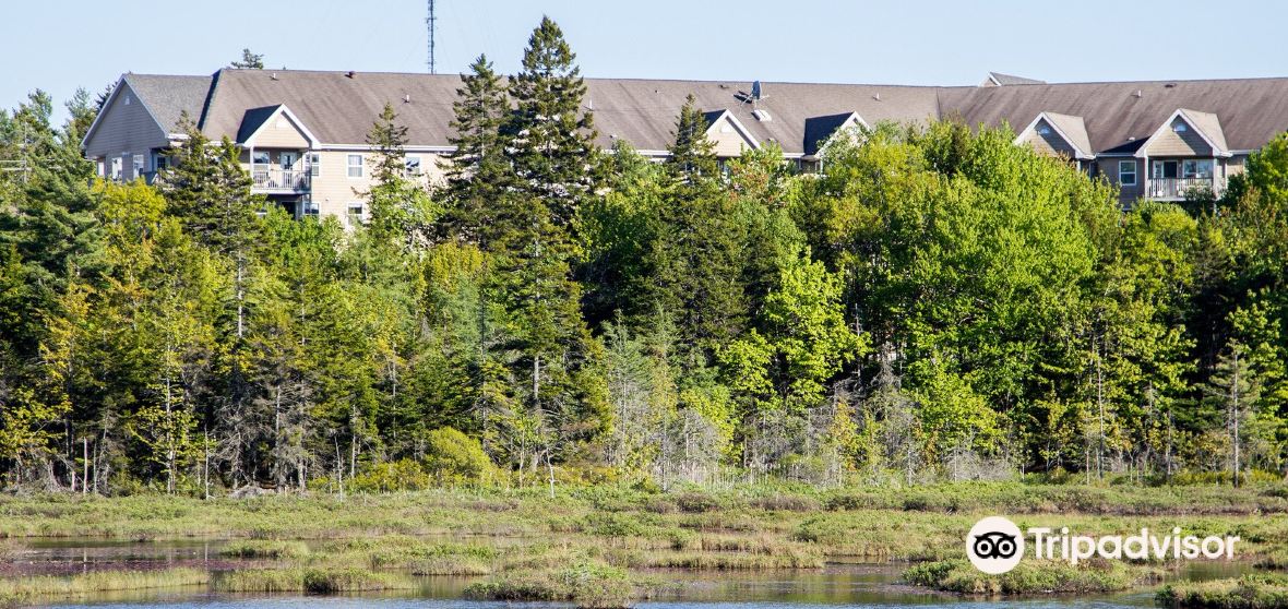 Clayton Park West Travel Guide 2024 Things to Do, What To Eat & Tips