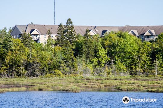 Belchers Marsh Park