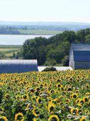 Dakeyne Farm