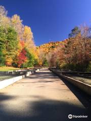 Tellico Trout Hatchery