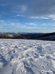 Vindelfjällens Naturreservat