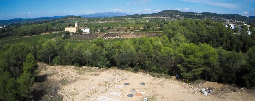 Centre d'interpretació del Jaciment ibèric de la Font de la Canya - D.O. Vinífera