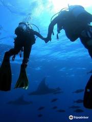 Season Challenge Azores Islands Diving Center