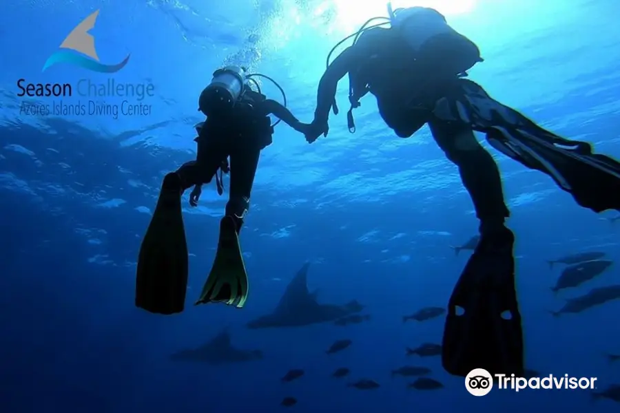 Season Challenge Azores Islands Diving Center