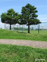 Iwata Usagiyama Park Ballpark