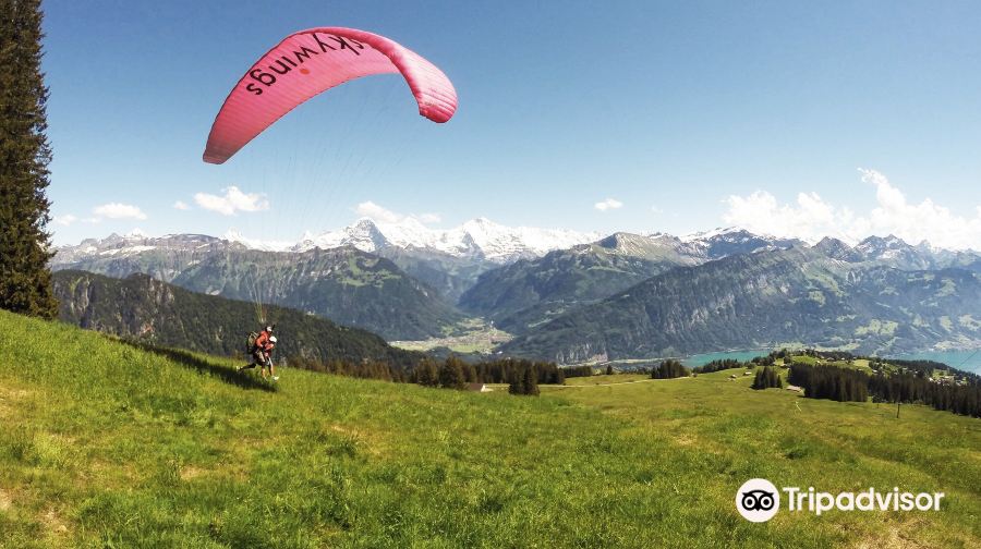 瑞士Skywings Adventures因特拉肯滑翔傘體驗+因特拉肯直升機觀光+Paragliding Interlaken GmbH因特拉肯滑翔傘體驗一日遊