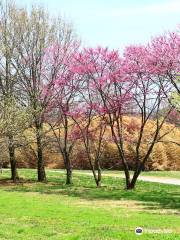 Knoxville Botanical Garden and Arboretum