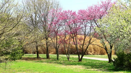 Knoxville Botanical Garden and Arboretum