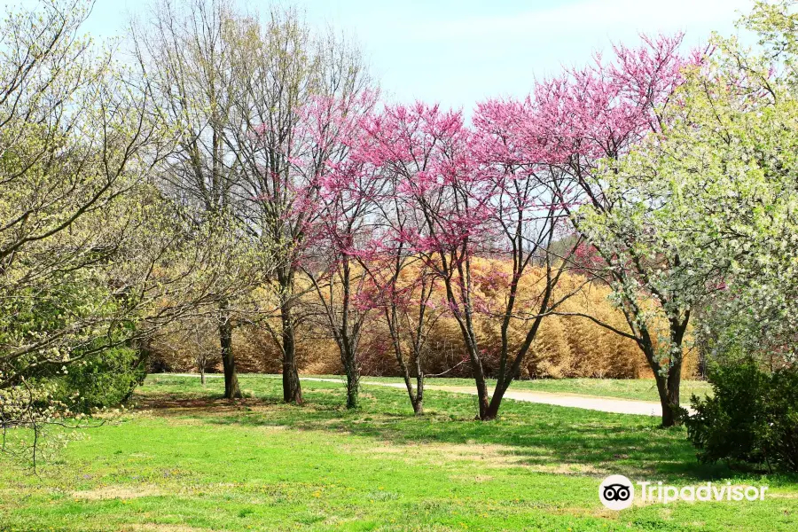 Knoxville Botanical Garden and Arboretum