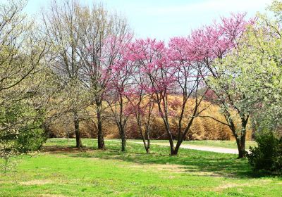 Knoxville Botanical Garden