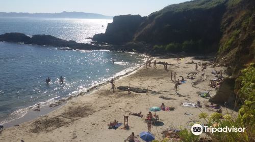 Playa de Estacas