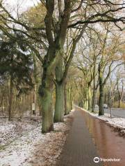 Bürgerpark Bremen